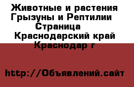 Животные и растения Грызуны и Рептилии - Страница 2 . Краснодарский край,Краснодар г.